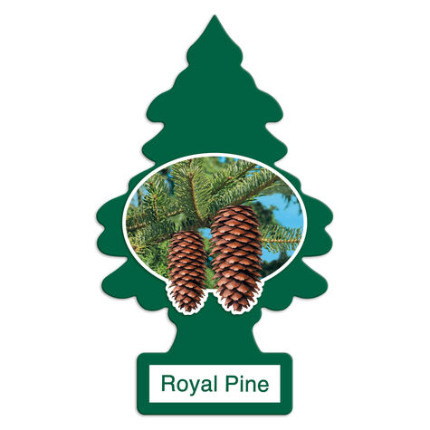 Little Trees Car Air Freshener - Royal Pine - 3 Pack product photo