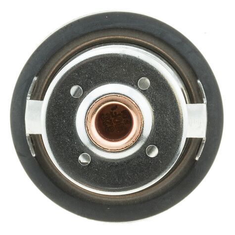 MotoRad Thermostat product photo