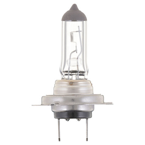 Philips Vision Halogen Bulb product photo