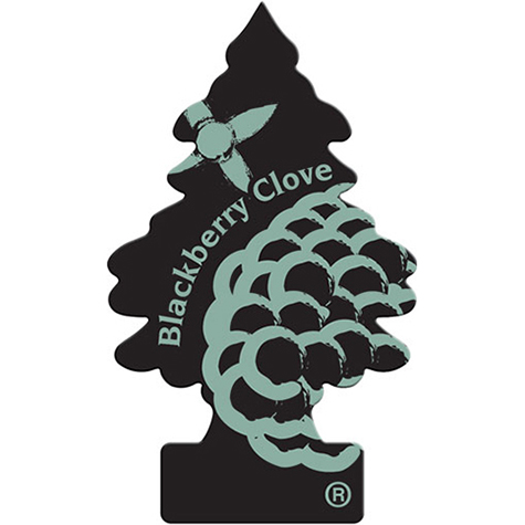 Little Tree - Blackberry Clove product photo