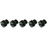 Dorman Fuel Filter Bleed Screw product photo