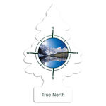 Little Trees  Car Air Freshener True North - 1 Pack product photo