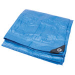 Performance Tool Tarp (12' x 16') product photo