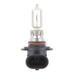 Philips Halogen Bulb product photo