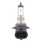 Philips Halogen Bulb product photo