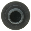 MotoRad Engine Oil Filler Cap product photo