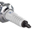 NGK Standard Spark Plug product photo