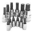 Performance Tool 12 pc. Star Bit Socket Set product photo